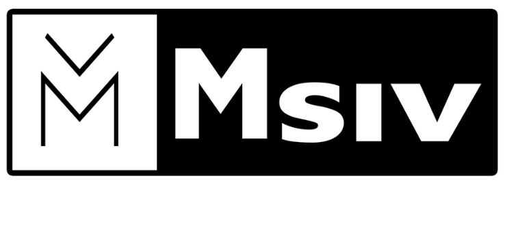 Logo MSIV SAS